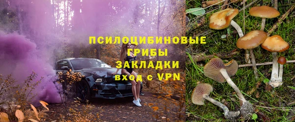 apvp Нея