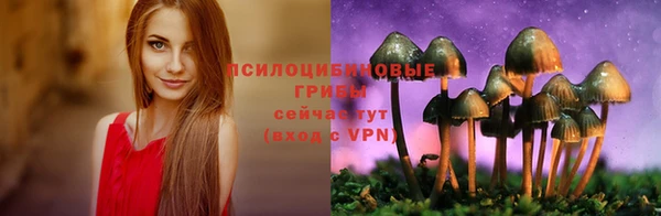 apvp Нея