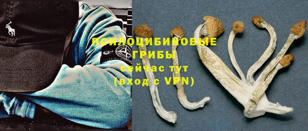 apvp Нея